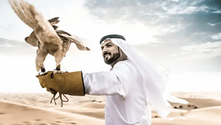 Arabic Falcon Names 
