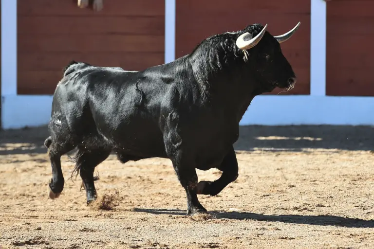 300+ Cool Bull Names Ideas For Your Strong Pet